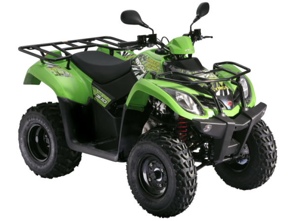 Automatic ATV 300cc