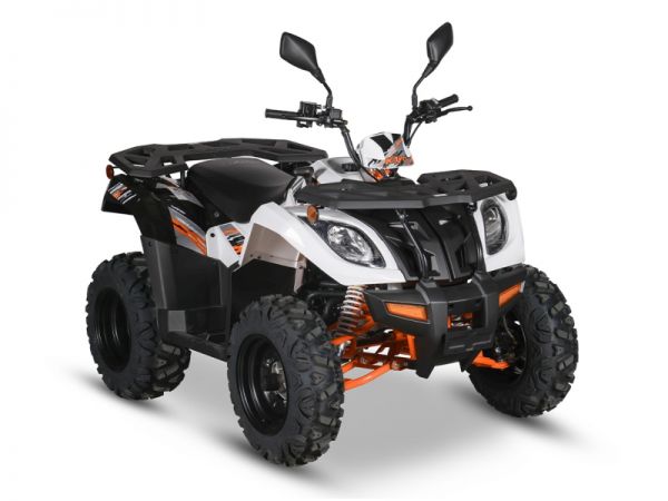 Daytona Kayo 300cc